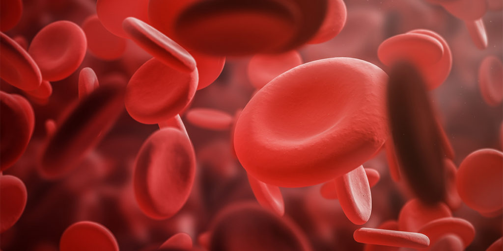 hematopathology red blood cells