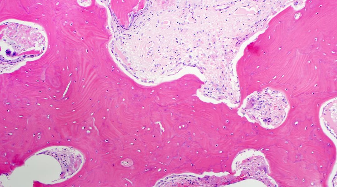 What is Histology? Unlock the Secrets of Tissue